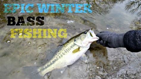 Epic Winter Bass Fishing Largemouth Bass Youtube