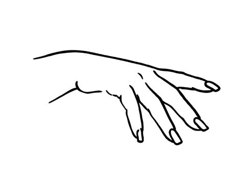 Premium Vector | Female hand with long nails human body part doodle linear cartoon coloring