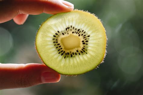 Estos Son Los Alimentos Que Te Ayudar N A Combatir El Jet Lag Y Sus