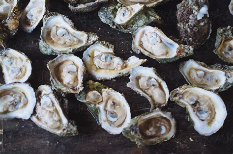 Raw Oysters By Stocksy Contributor John Dunaway Stocksy