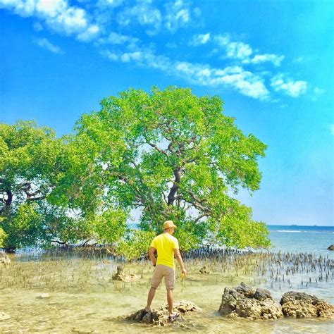 Nikmati Liburan Seru Di Pulau Panjang Pesona Bawah Laut Di Jepara