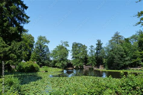 See Bzw Teich Im Wildpark Englischer Garten Eulbach Bei Michelstadt