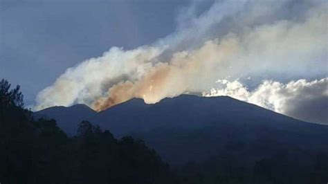 Api Di Hutan Gunung Merbabu Padam 436 Hektare Lahan Terbakar