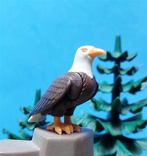 El Aguila Que Queria Ser Aguila 4