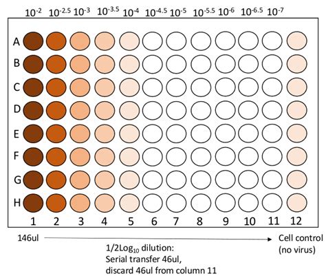 Measuring Influenza Neutralizing Antibody Responses To Ah N Viruses In