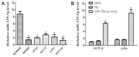 MicroRNA1395p Regulates Chronic Inflammation By Suppressing Nuclear