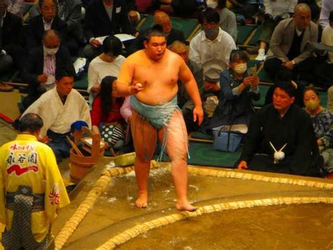 欧勝馬・・・とは？ おうしょうま 鳴戸部屋 中学でモンゴル相撲 高校でレスリング 日本体育大学で相撲 幕下15枚目格付出 欧勝馬関の写真集