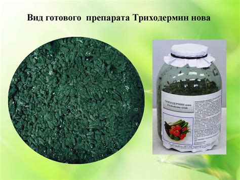 Биологические средства защиты растений - online presentation