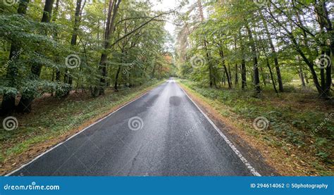 Beautiful Empty Road in the Forest Full of Green Trees. Stock Photo - Image of asphalt, nature ...