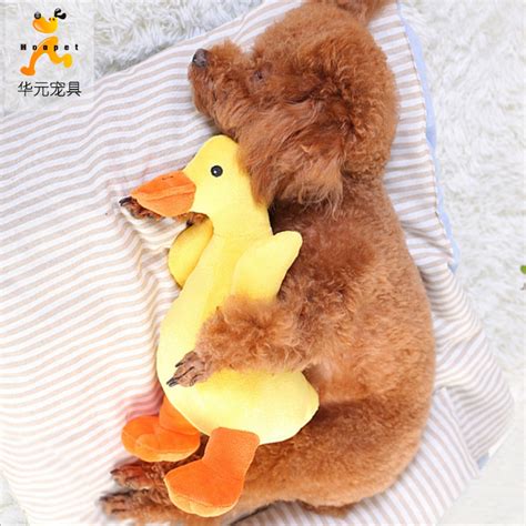 Pato De Pelucia Para Cachorro - Brinquedos De Pelúcia Para Cachorro Pato , Com Voz Animais De Estimação ...