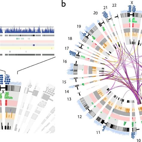 Alpha Satellite Annotation In The Human Genome Assembly A As