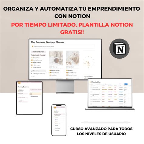 Organiza Y Automatiza Tu Emprendimiento Con Notion Curso Avanzado