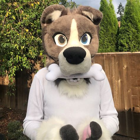 Fursuit Full Partial Premade Border Collie Malamute Mix Etsy