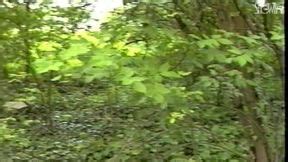 Free Sabine Fleischer HD Porn Videos 6 Porn HD