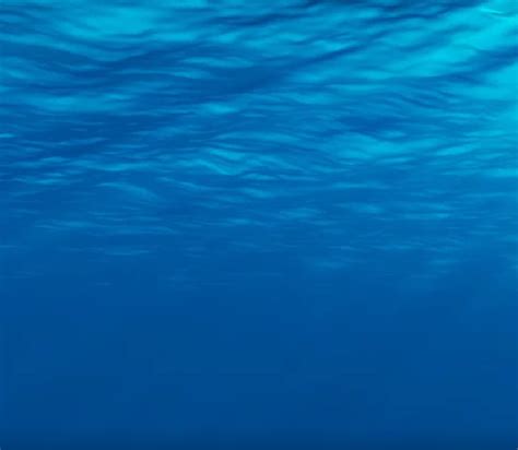 Jevea Crystalnaya|Живея Кристальная - минеральная природная питьевая ...