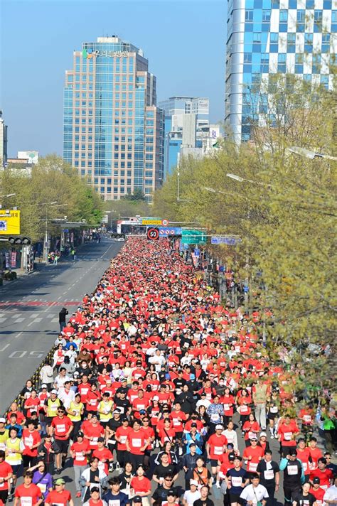 세계 최고 우승 상금 대구마라톤 대회 정상급 선수 대거 출전 서울신문