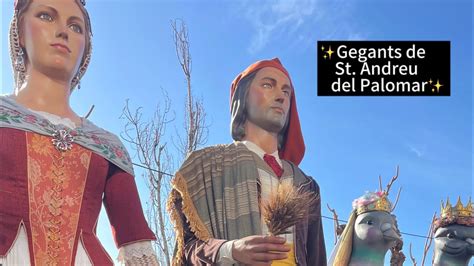 Gegants De St Andreu Del Palomar A Trobada Gegantera A