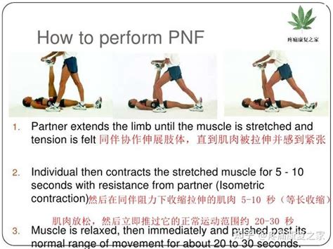腰痛如何正确开展运动疗法 知乎