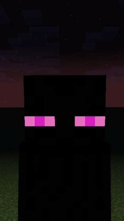 Why You Never Look An Enderman In The Eye A Minecraft Animation By