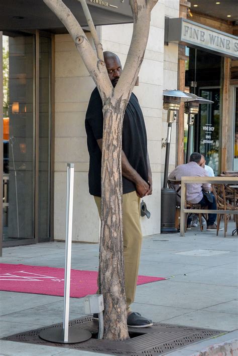 Shaquille O'Neal Allegedly Engaged In "Unprecedented And Shocking