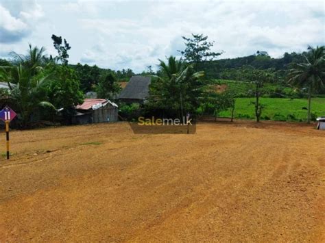 Land Block Out Lands In Moratuwa In Moratuwa Saleme Lk