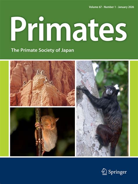Same Sex Sexual Behavior In Brown Headed Spider Monkeys Ateles
