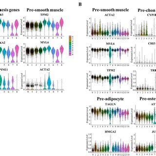 Violin Plots Showing Differential Gene Expression And Biological