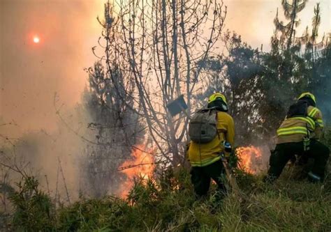 La Colombia Colpita Da Devastanti Incendi Boschivi I Video E La Situazione