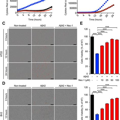 Nec 1 Blocks Brain Cell Death Induced By Aβ Aggregates A B Time