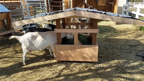 How to build a feeder for goats with horns. The best low waste feeder.