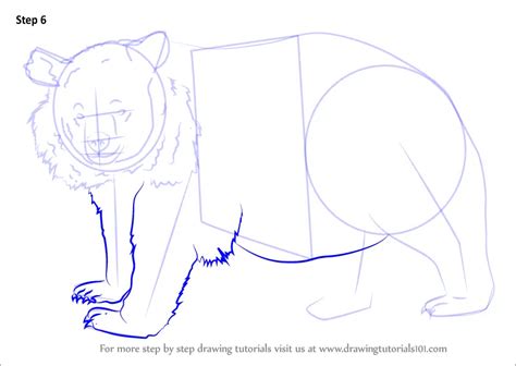 How to Draw an Asian black bear (Bears) Step by Step ...