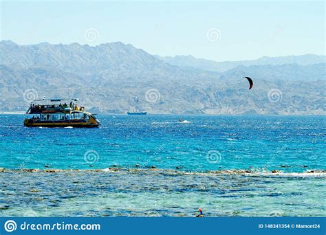 Coral Reef on the Red Sea Eilat Editorial Stock Image - Image of ...