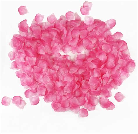 Amazon Hongyitime Pcs Artificial Silk Rose Petals Decoration