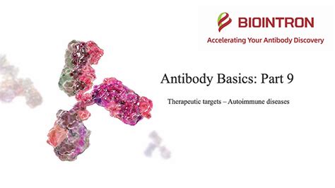 Antibody Basics: Part 9 - Therapeutic targets - Autoimmune Diseases