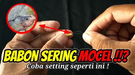 Rangkaian Pancing Nila Umpan Lumut Anti Mocel Terbaru YouTube