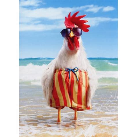 Avanti Rooster Wears Swimsuit Funny Humorous Birthday Card Card