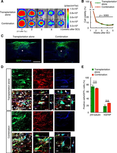 Prior Treatment With AntiHigh Mobility Group Box1 Antibody Boosts