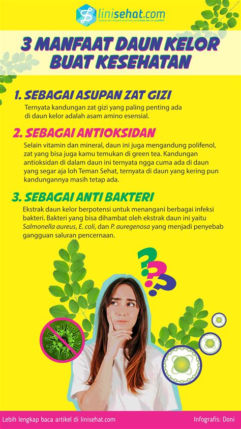 3 Manfaat Daun Kelor Buat Kesehatan Yang Perlu Kamu Tau