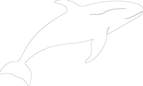 northern right whale outline silhouette 38488761 Vector Art at Vecteezy