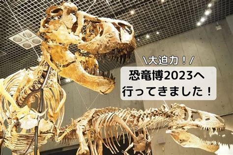 恐竜博2023に行ってきました。貴重な化石と大迫力の全身骨格に大興奮！ おだやかなくらし