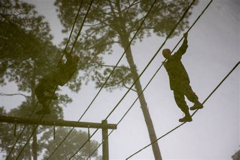 Dvids Images Delta Company Confidence Course Image Of