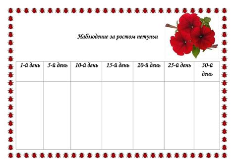 Дневник наблюдения за ростом лука в детском саду в картинках