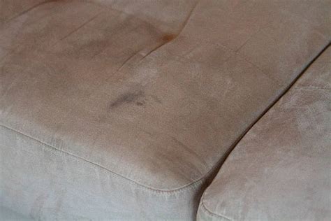 2500 Couch Stain Stock Photos Pictures And Royalty Free Images Istock