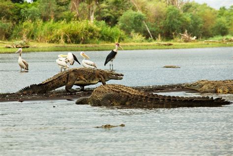 Ethiopia Tailor-Made Travel by Atelier Africa Safaris