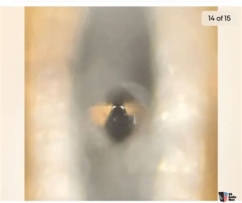 Audio Technica AT33EV Dual Moving Coil Cartridge Retipped Nude Diamond Photo 4470959 US