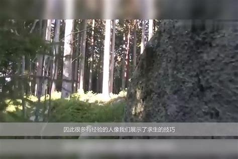 用胶带做的船能从孤岛上逃生吗？老外作死实验，结果一个巨浪打来