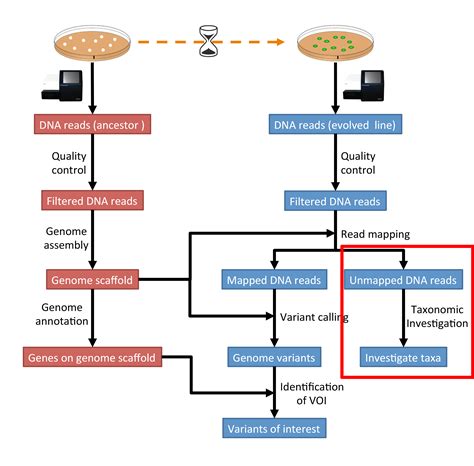 Taxonomic Investigation Genomics Tutorial Documentation