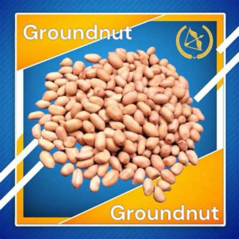 1KG Kacang Tanah Fresh Cropped Raw Peanut Groundnut Kacang Tanah