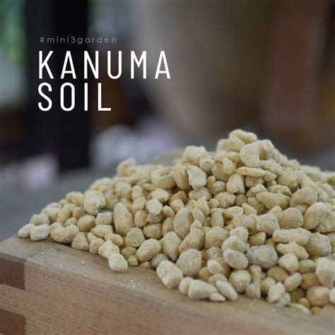 ดินคานูมะ KANUMA SOIL ดินญี่ปุ่นสีเหลือง | LINE SHOPPING