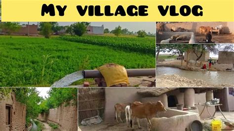 My First Village Vlog Gaon Ke Shahar Gaon Ka Vlog Ek Din Gaon Ma